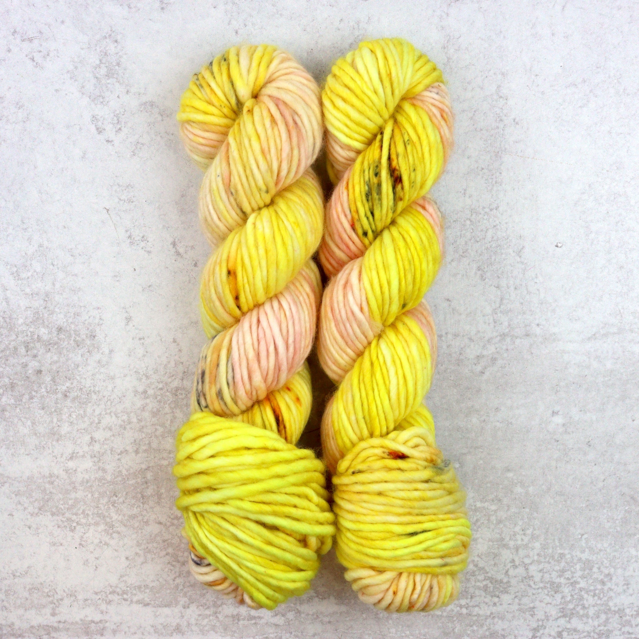 Main Squeeze - Bulky - Lonely Skein