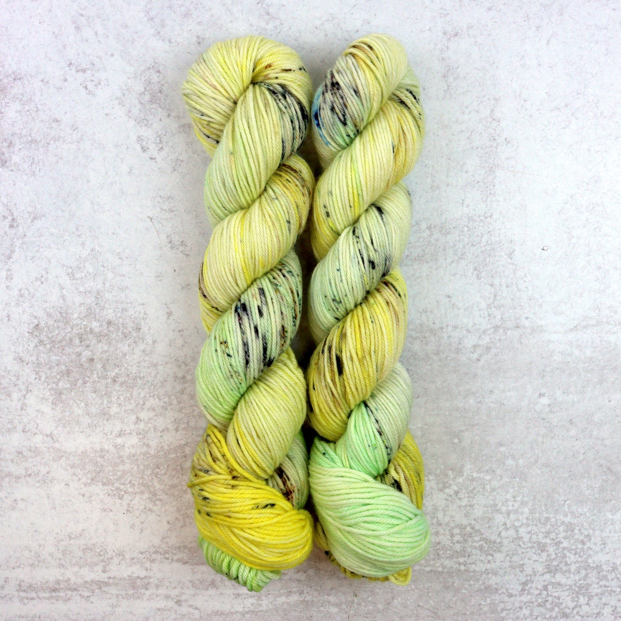 Sprout - Squish DK - Lonely Skein