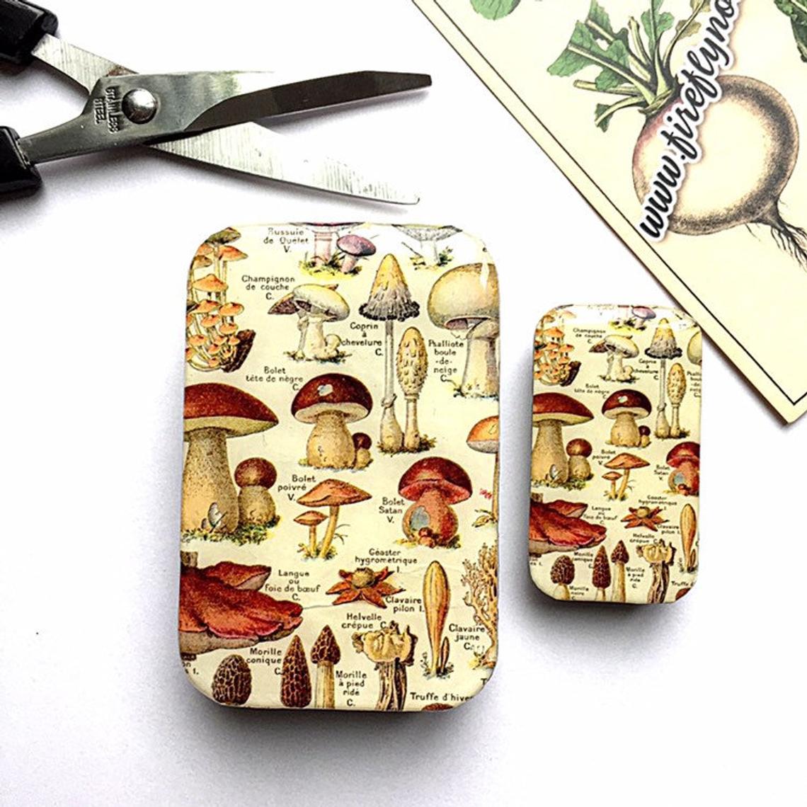 Firefly Notes - Mushroom Tin