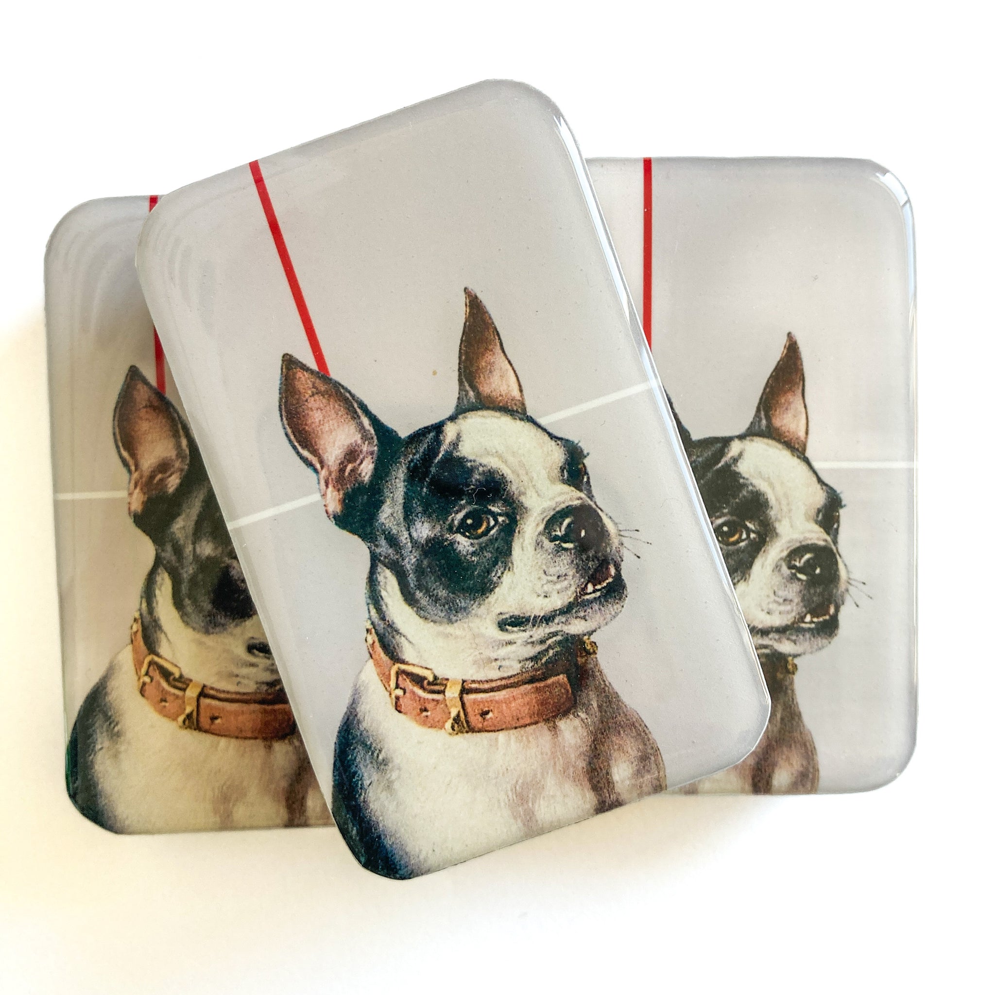 Firefly Notes - Boston Terrier Notions Tin